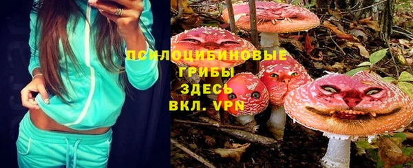 гашик Кодинск