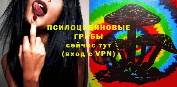 гашик Кодинск