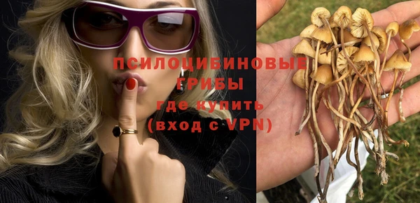 гашик Кодинск