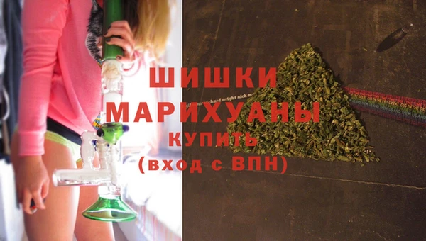 гашик Кодинск