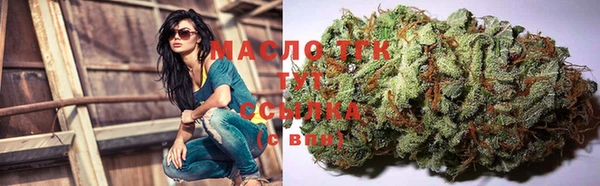 гашик Кодинск