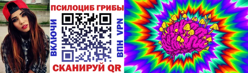 Купить где Минеральные Воды Псилоцибиновые грибы Cubensis