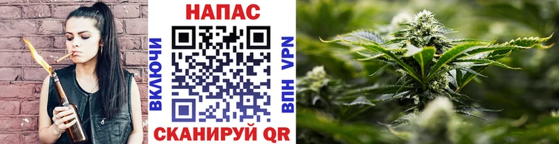 Конопля White Widow  Купить закладки  Минеральные Воды 